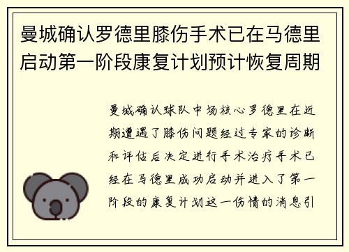 曼城确认罗德里膝伤手术已在马德里启动第一阶段康复计划预计恢复周期受关注 曼城确认罗德里膝伤手术已在马德里启动第一阶段康复计划预计恢复周期受关注